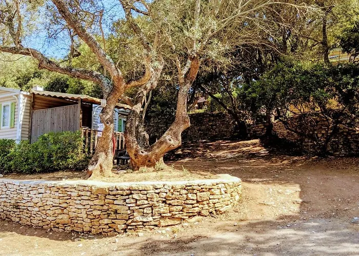 Parque de Campismo Campo Di Liccia - Maeva 3*