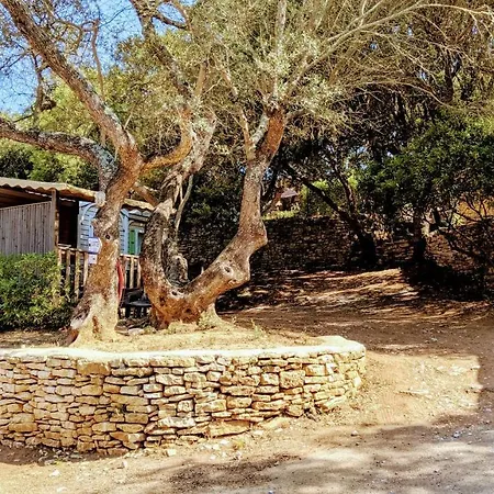 キャンプ場 Campo Di Liccia - Maeva 3*